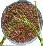 kottayar1